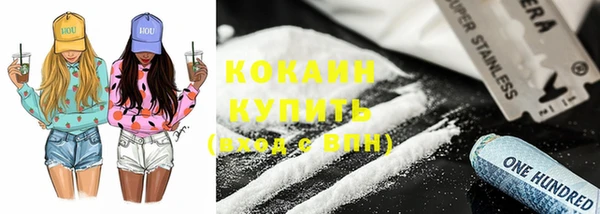 стаф Кулебаки