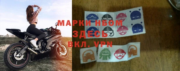 стаф Кулебаки