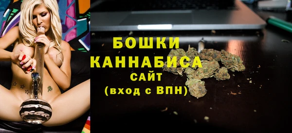 ALPHA PVP Куйбышев