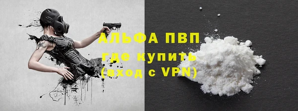 стаф Кулебаки