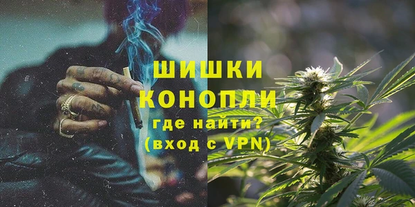 стаф Кулебаки