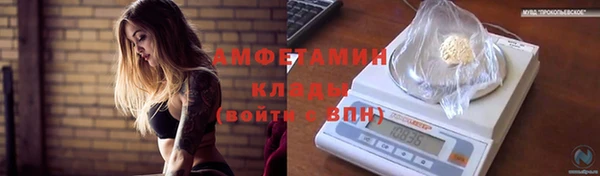 стаф Кулебаки