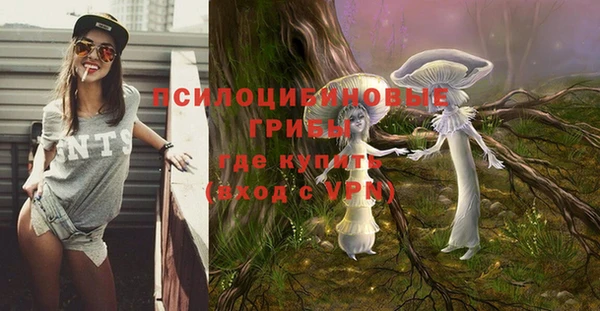 стаф Кулебаки