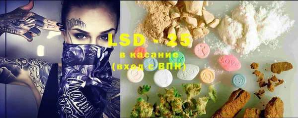 стаф Кулебаки