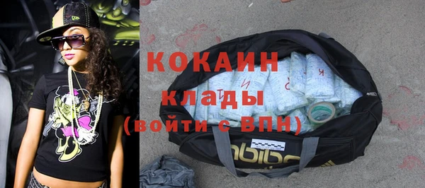 стаф Кулебаки