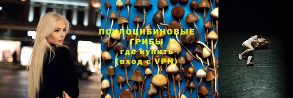 стаф Кулебаки