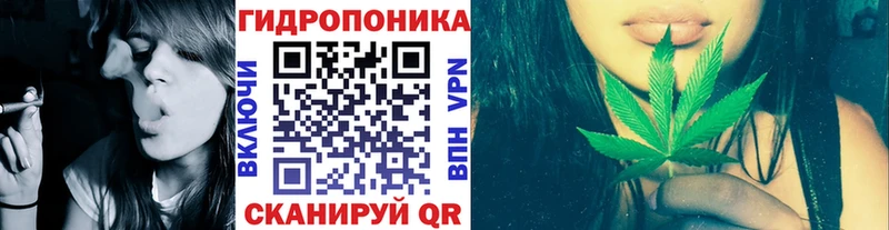 мега вход  Олёкминск  Шишки марихуана планчик 